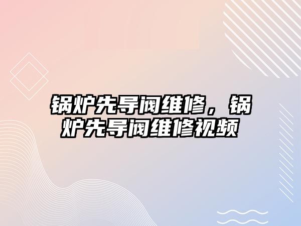 鍋爐先導(dǎo)閥維修，鍋爐先導(dǎo)閥維修視頻