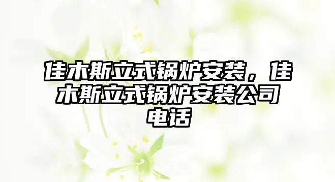 佳木斯立式鍋爐安裝，佳木斯立式鍋爐安裝公司電話