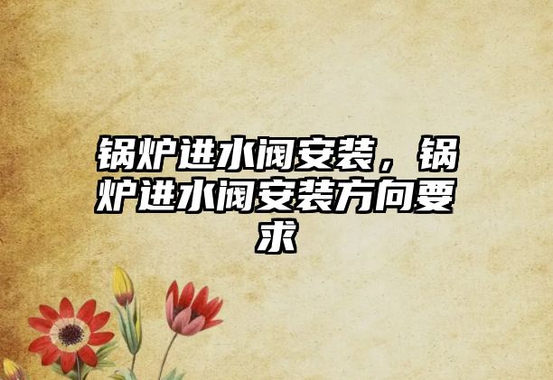 鍋爐進(jìn)水閥安裝，鍋爐進(jìn)水閥安裝方向要求