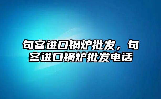 句容進(jìn)口鍋爐批發(fā)，句容進(jìn)口鍋爐批發(fā)電話