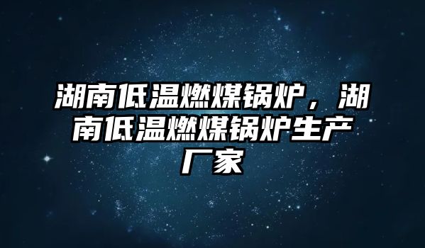 湖南低溫燃煤鍋爐，湖南低溫燃煤鍋爐生產(chǎn)廠家