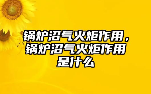 鍋爐沼氣火炬作用，鍋爐沼氣火炬作用是什么