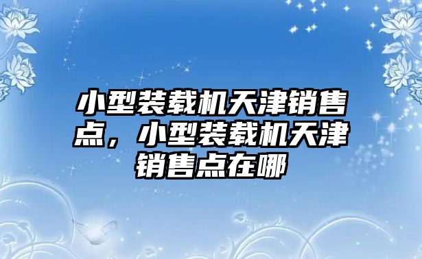 小型裝載機天津銷售點，小型裝載機天津銷售點在哪