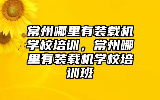 常州哪里有裝載機(jī)學(xué)校培訓(xùn)，常州哪里有裝載機(jī)學(xué)校培訓(xùn)班