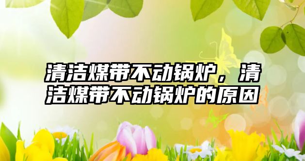 清潔煤帶不動(dòng)鍋爐，清潔煤帶不動(dòng)鍋爐的原因