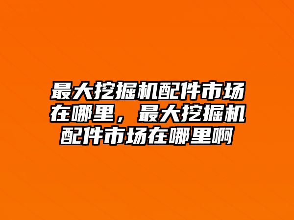 最大挖掘機(jī)配件市場在哪里，最大挖掘機(jī)配件市場在哪里啊